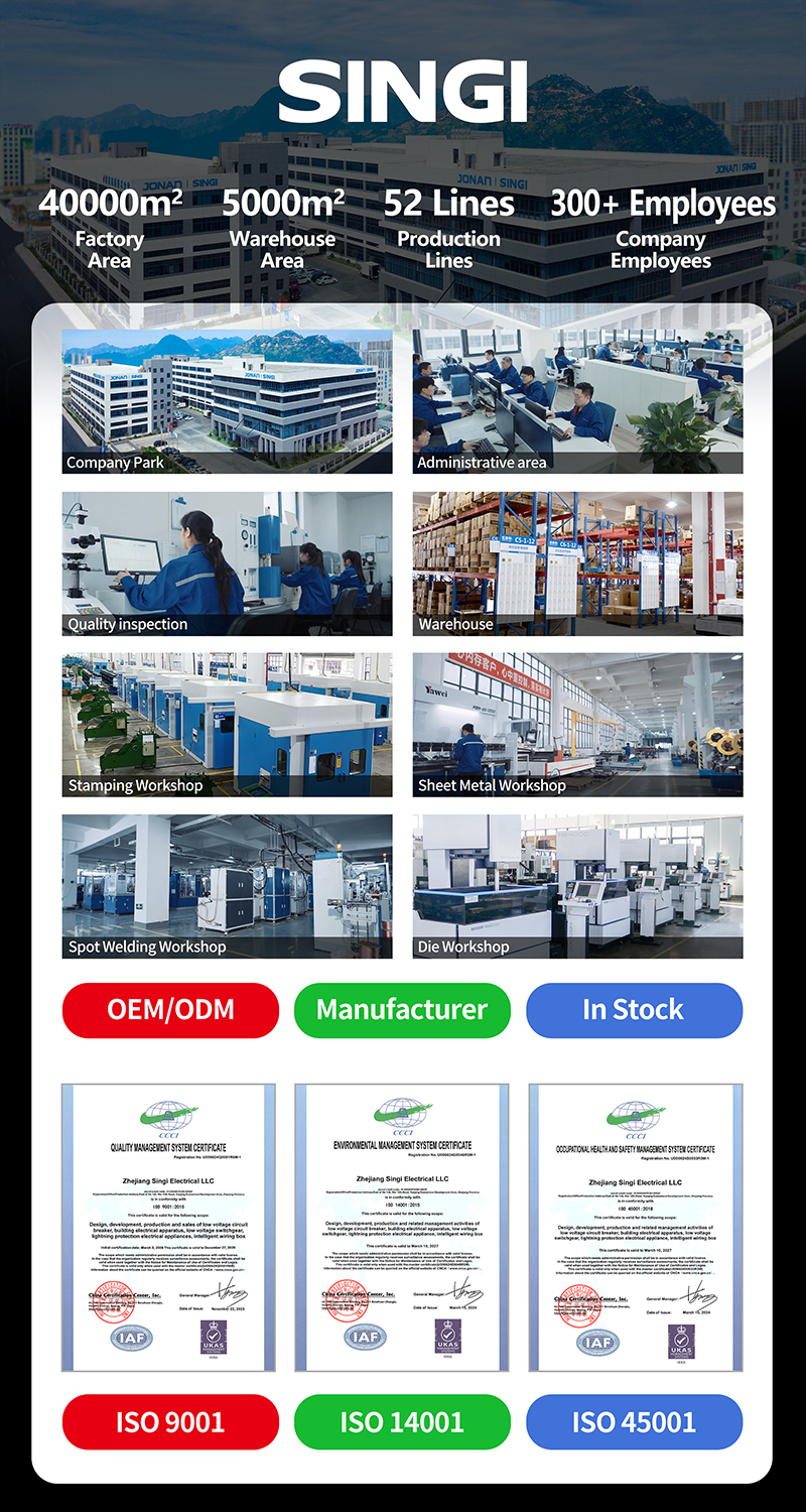 presentation-SINGI-800.jpg